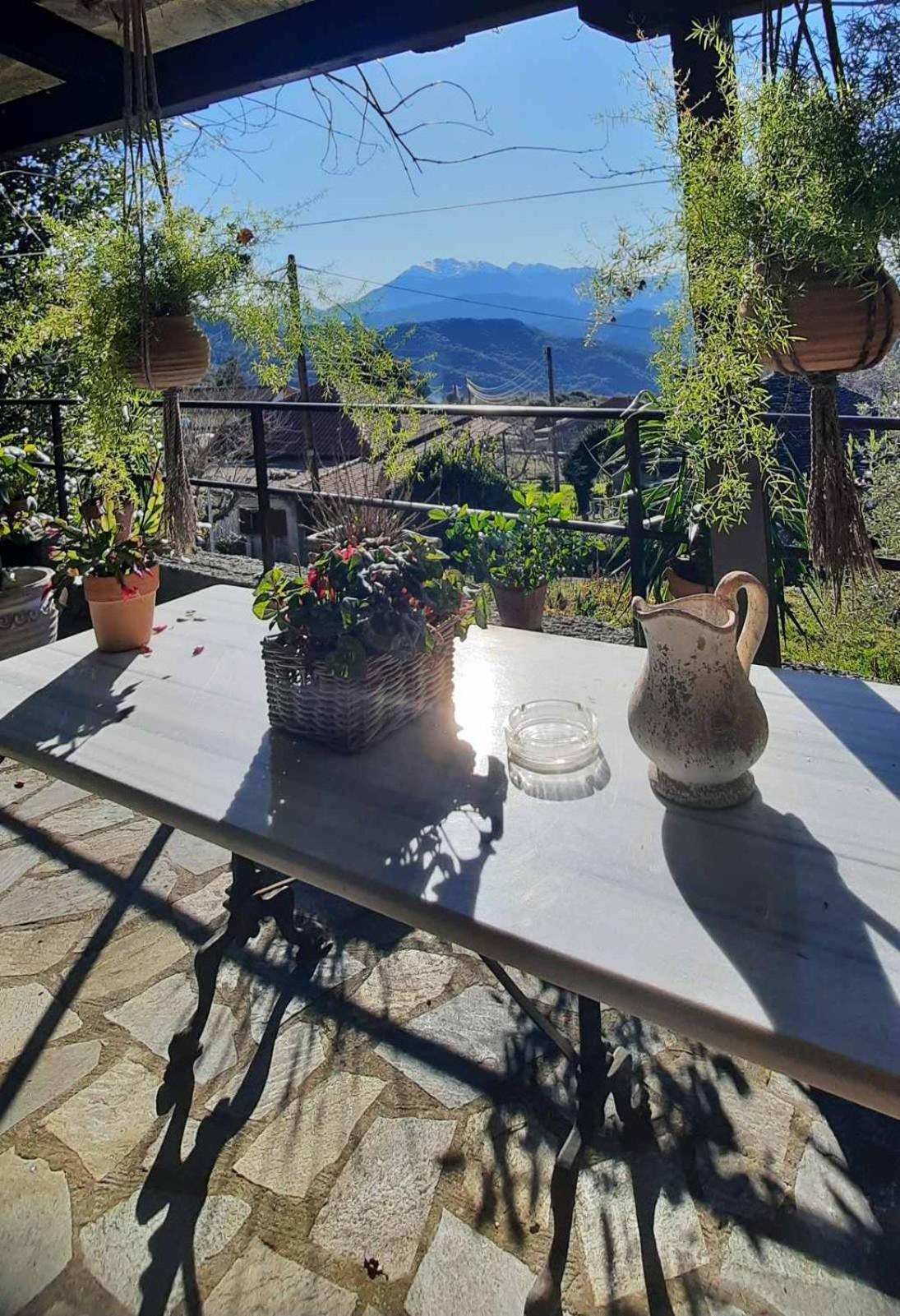 Hotel Αρχοντικό Άννα Μαρία - Βουργαρέλι Τζουμέρκα Zewnętrze zdjęcie
